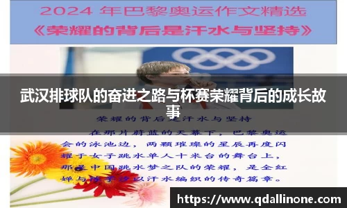 武汉排球队的奋进之路与杯赛荣耀背后的成长故事