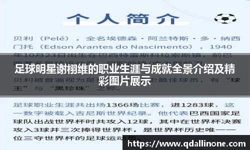足球明星谢栩维的职业生涯与成就全景介绍及精彩图片展示
